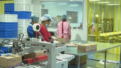 云夢經濟開發區 以完善服務體系為抓手，實現政企雙贏的信息系統運行維護新篇章